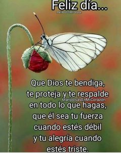 Msj D Buenos Dias Para Mi Novio Para Whatsapp