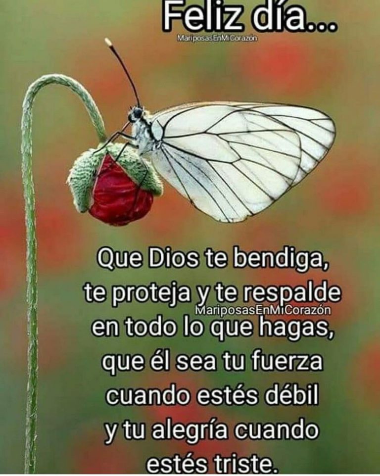 Msj D Buenos Dias Para Mi Novio Para Whatsapp