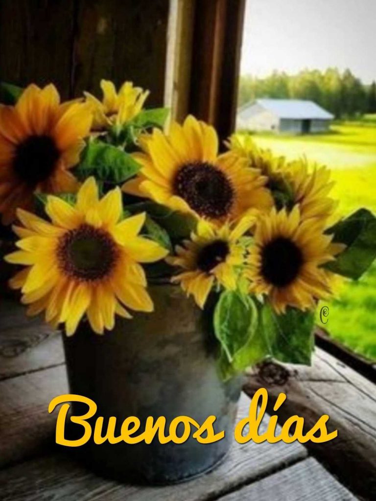 Msj D Buenos Dias Para Una Amiga