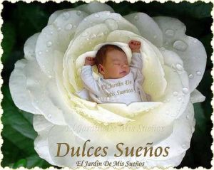 Msj de amor de buenas noches para Facebook