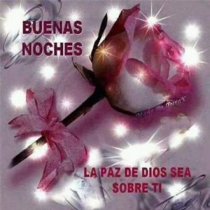 Msj De Amor De Buenas Noches Para Whatsapp