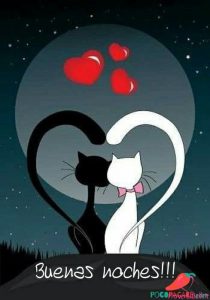 Msj De Buenas Noches Para Enamorar Para Descargar Gratis