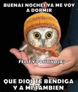 Msj De Buenas Noches Para Enamorar Para Whatsapp