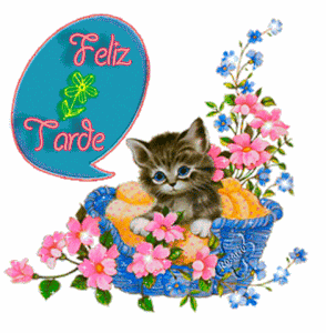 Msj de buenas tardes gif animadas