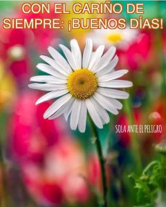 Msj de buenos días para Facebook