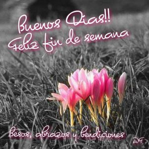 Msj De Buenos Dias Para Mi Amor Para Facebook