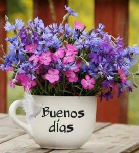 Msj De Buenos Dias Para Mi Amor Para Una Amiga