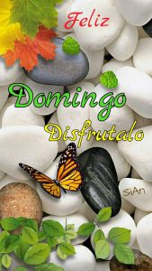 Música de feliz domingo para celular