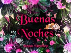 Muy Buenas Noches Amor