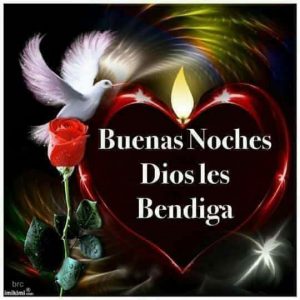 Muy Buenas Noches Frases Para Celular