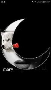 Muy Buenas Noches Frases Para Whatsapp