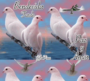 Muy buenas tardes gif animadas