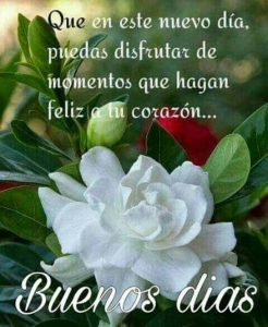 Muy Buenos Dias Amor Para Celular