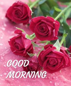 Muy Buenos Dias Amor Para Una Amiga