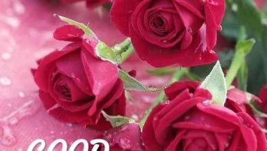 Photo of Muy Buenos Dias Amor Para Una Amiga