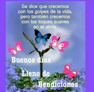 Muy Buenos Dias Frases Para Una Amiga