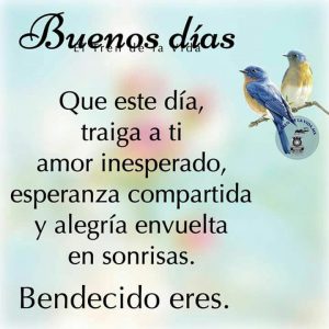 Muy Buenos Dias Frases Para Whatsapp