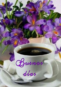 Muy Buenos Dias Imagenes Para Celular