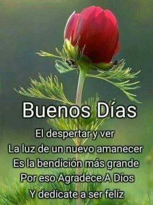 Muy Buenos Dias Mensajes Para Mi Amor