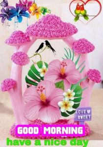 Nuevas Imagenes De Buenos Dias Para Descargar