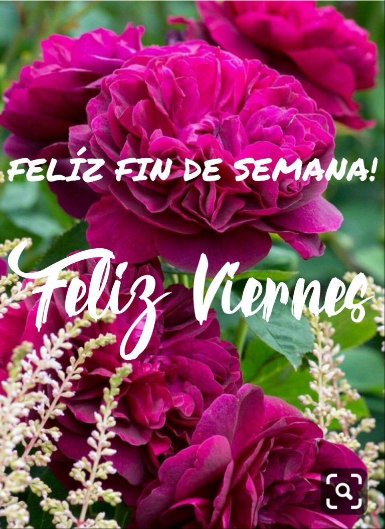 Nuevos Mensajes De Buenos Dias Para Celular