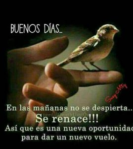 Nuevos Mensajes De Buenos Dias Para Mi Amor