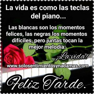 Oraciones De Buenas Tardes Para Whatsapp Celular