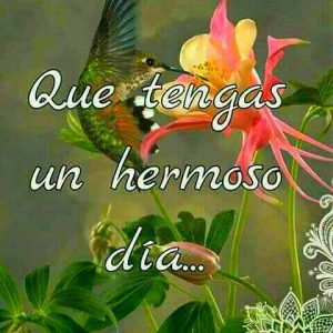 Palabras Bellas De Buenos Dias