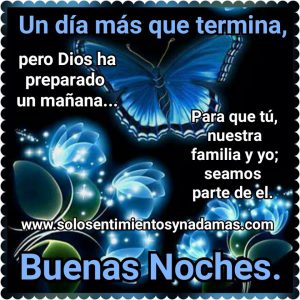 Palabras Bonitas De Amor De Buenas Noches