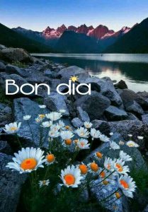 Palabras Bonitas Para Dar Los Buenos Dias Para Whatsapp