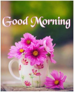 Palabras Buenos Dias Para Celular