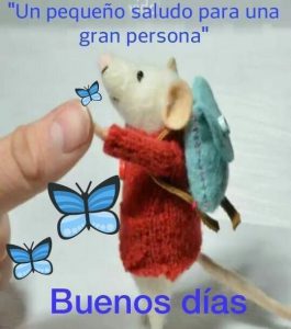 Palabras De Amor Para Desear Buenos Dias Para Una Amiga
