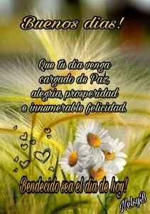 Palabras De Amor Para Desear Buenos Dias Para Whatsapp