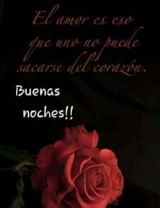 Palabras De Buenas Noches Mi Amor Para Whatsapp