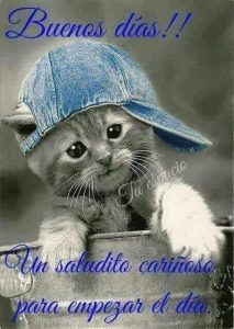 Palabras De Buenos Dias Amor Para Descargar