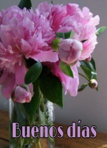 Palabras Hermosas De Buenos Dias Para Celular