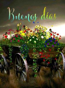 Palabras Hermosas De Buenos Dias Para Mi Amor Para Celular