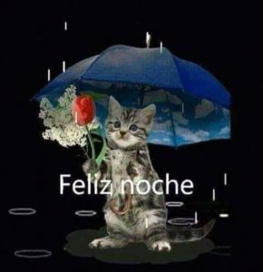 Palabras Para Buenas Noches Para Celular