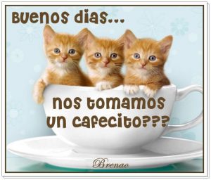 Palabras Para Dar Los Buenos Dias Para Una Amiga