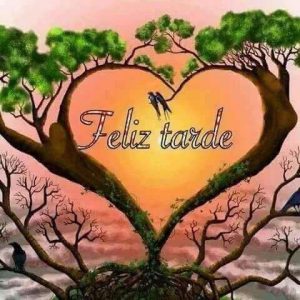 Palabras Para Decir Buenas Noches Para Celular