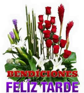 Palabras Para Desear Buenas Tardes Para Whatsapp Celular