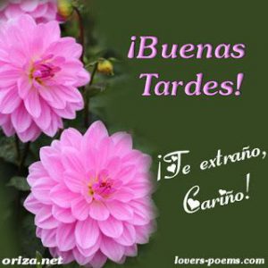 Para Buenas Noches Para Whatsapp