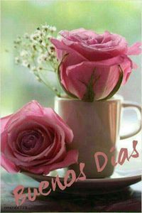 Para Desear Buenos Dias A Mi Amor Para Whatsapp