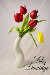 Para Desear Un Feliz Domingo Para Celular