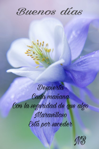 Para Mi Amor Buenos Dias