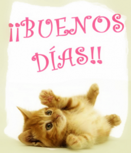 Para Mi Amor Buenos Dias Para Celular