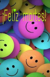 Para Whatsapp Celular