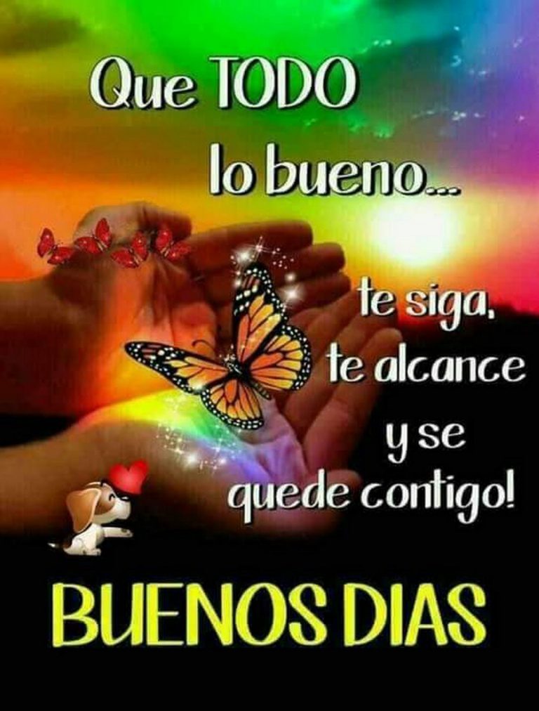 Pelicula Buenos Dias Buenas Tardes Para Whatsapp Celular