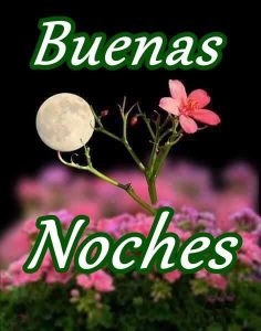 Pensamientos Buenas Noches Para Celular