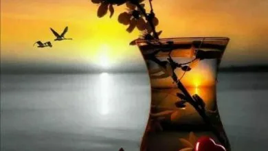 Photo of Pensamientos De Amor Buenas Noches Para Celular